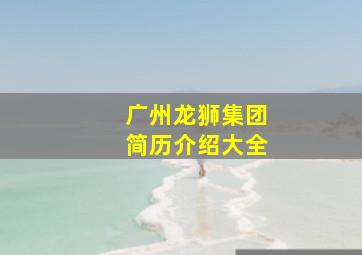 广州龙狮集团简历介绍大全