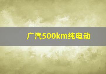 广汽500km纯电动