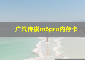 广汽传祺m6pro内存卡