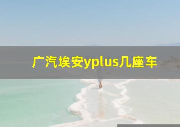 广汽埃安yplus几座车