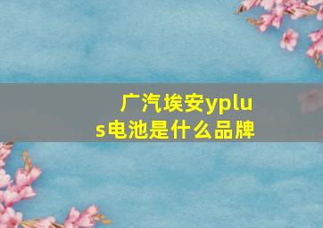 广汽埃安yplus电池是什么品牌