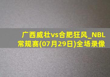 广西威壮vs合肥狂风_NBL常规赛(07月29日)全场录像