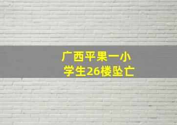 广西平果一小学生26楼坠亡