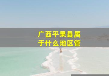 广西平果县属于什么地区管