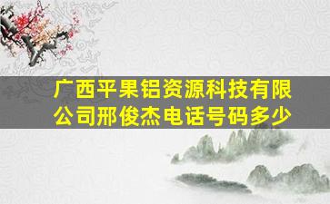 广西平果铝资源科技有限公司邢俊杰电话号码多少