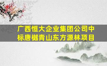 广西恒大企业集团公司中标唐樾青山东方源林项目