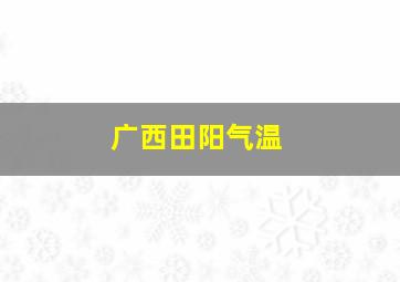 广西田阳气温