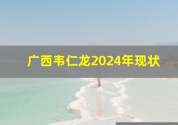 广西韦仁龙2024年现状