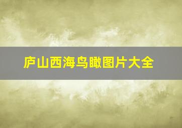 庐山西海鸟瞰图片大全