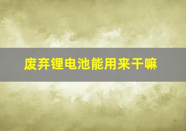 废弃锂电池能用来干嘛