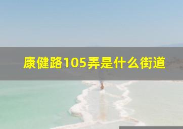 康健路105弄是什么街道