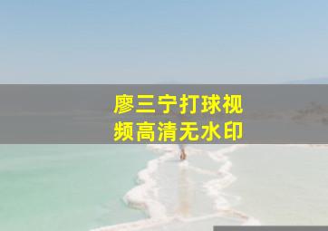 廖三宁打球视频高清无水印