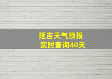 延吉天气预报实时查询40天