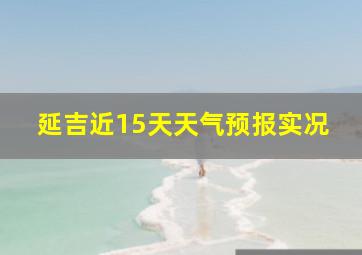 延吉近15天天气预报实况