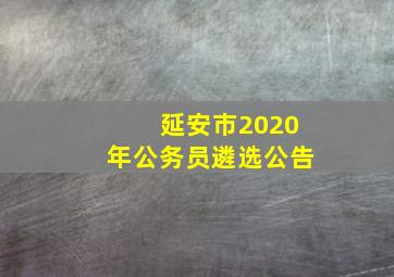 延安市2020年公务员遴选公告