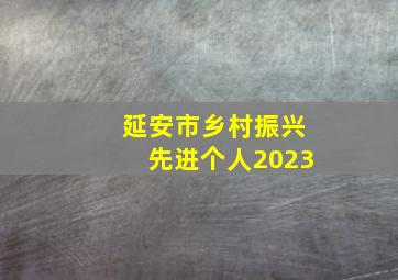 延安市乡村振兴先进个人2023