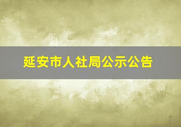 延安市人社局公示公告