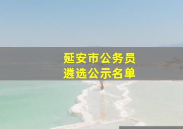 延安市公务员遴选公示名单