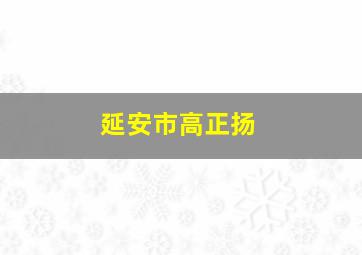 延安市高正扬