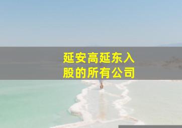 延安高延东入股的所有公司