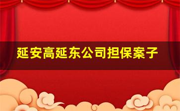 延安高延东公司担保案子