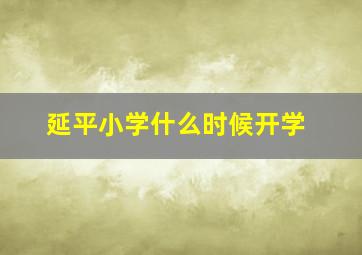 延平小学什么时候开学