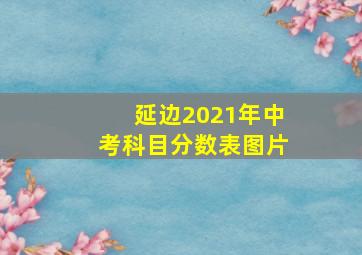 延边2021年中考科目分数表图片