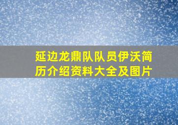 延边龙鼎队队员伊沃简历介绍资料大全及图片