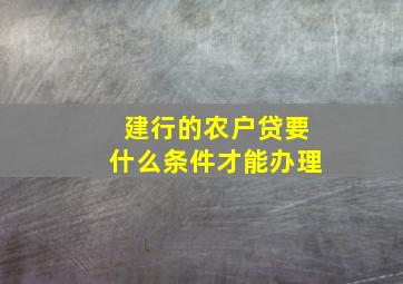 建行的农户贷要什么条件才能办理