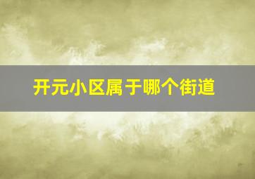 开元小区属于哪个街道