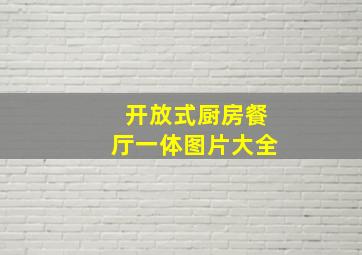 开放式厨房餐厅一体图片大全