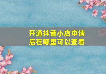 开通抖音小店申请后在哪里可以查看