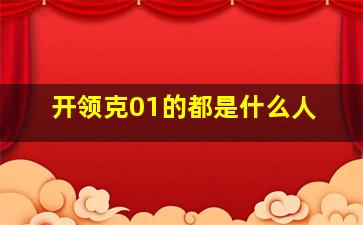 开领克01的都是什么人