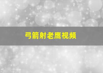 弓箭射老鹰视频