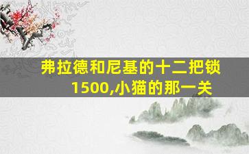 弗拉德和尼基的十二把锁1500,小猫的那一关