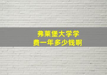 弗莱堡大学学费一年多少钱啊