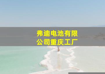 弗迪电池有限公司重庆工厂