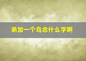 弟加一个鸟念什么字啊