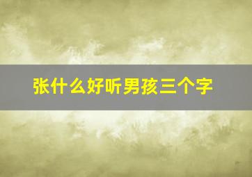 张什么好听男孩三个字