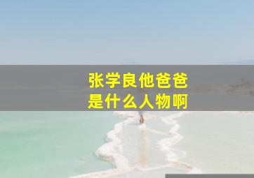 张学良他爸爸是什么人物啊