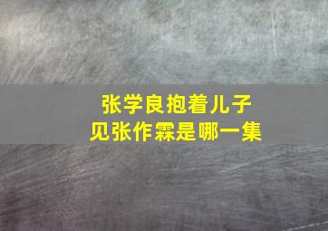 张学良抱着儿子见张作霖是哪一集