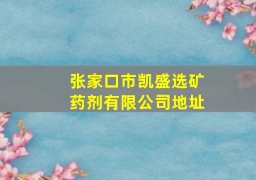 张家口市凯盛选矿药剂有限公司地址