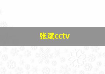 张斌cctv