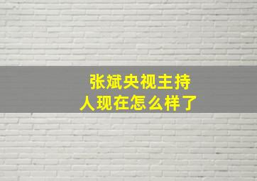 张斌央视主持人现在怎么样了