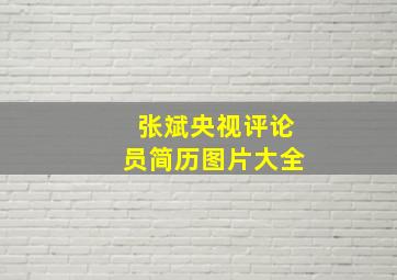 张斌央视评论员简历图片大全