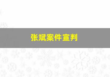 张斌案件宣判