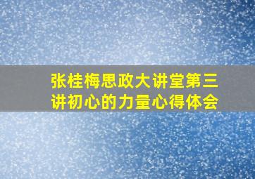 张桂梅思政大讲堂第三讲初心的力量心得体会