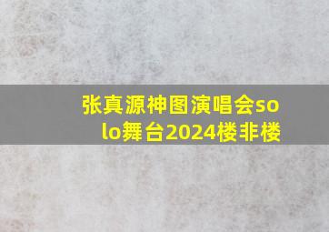 张真源神图演唱会solo舞台2024楼非楼