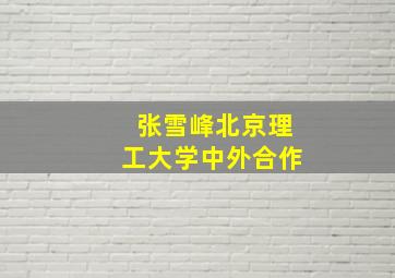 张雪峰北京理工大学中外合作