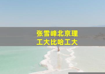 张雪峰北京理工大比哈工大